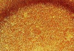 羅門哈斯拋光樹脂型號-羅門哈斯網(wǎng)